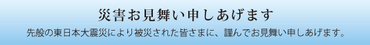 �ЊQ���������\���グ�܂�
