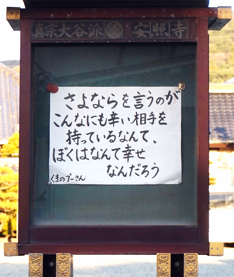 掲示板写真