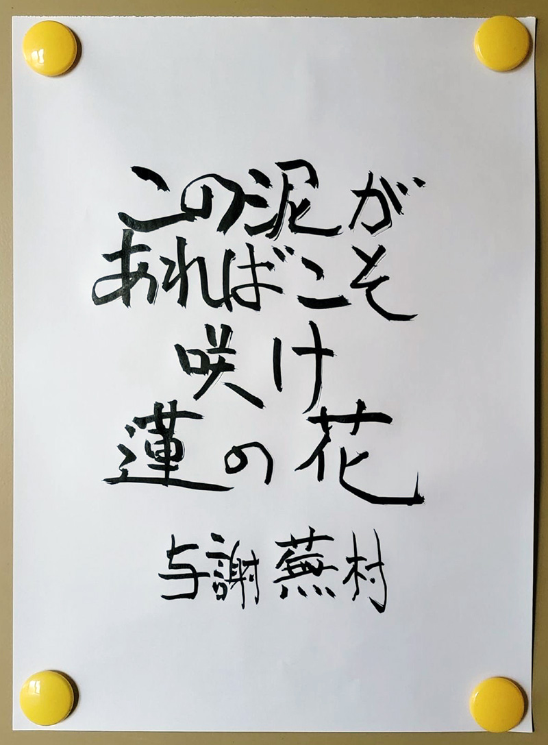 掲示板写真