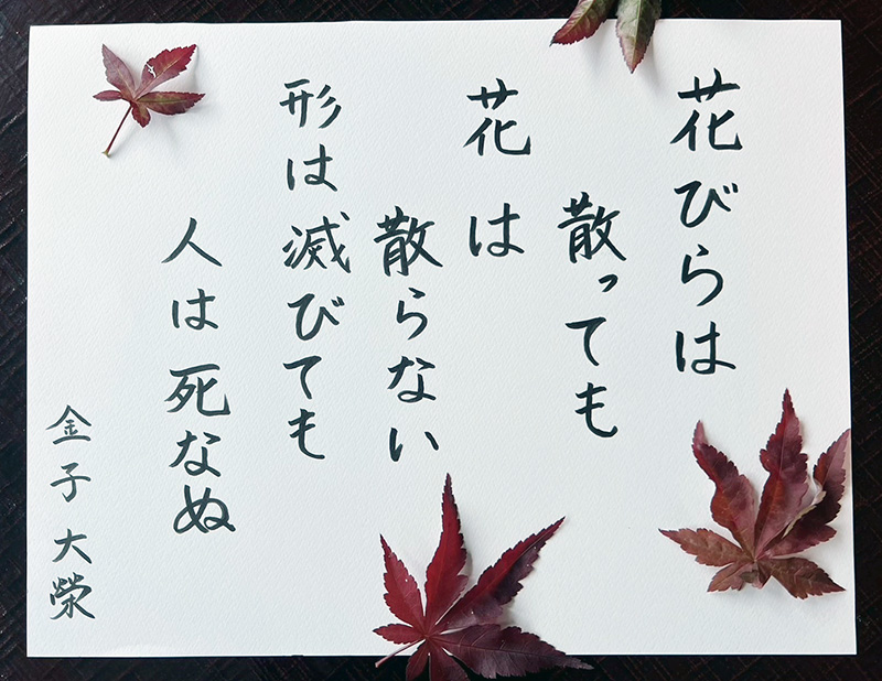 掲示板写真