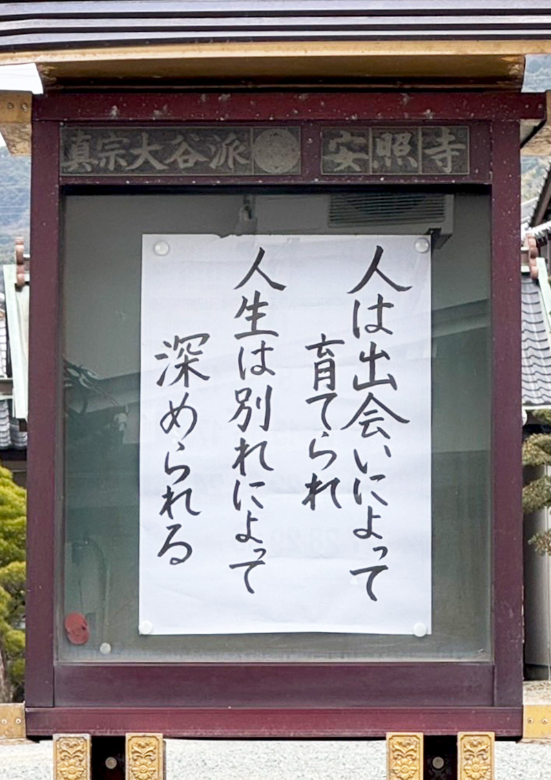 掲示板写真